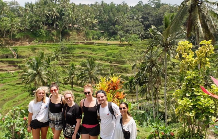 Bali Experience