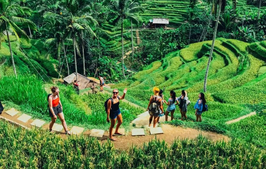 Bali Experience
