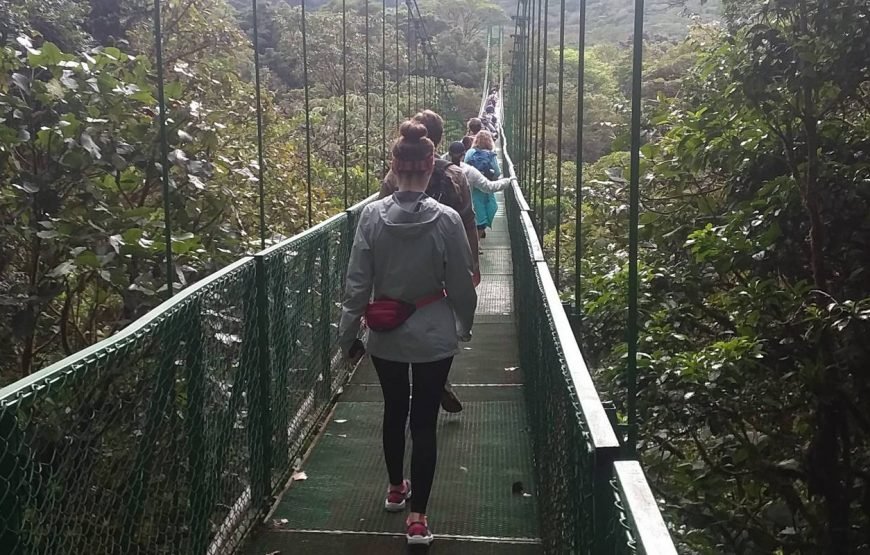 Costa Rica Quest 9 Days