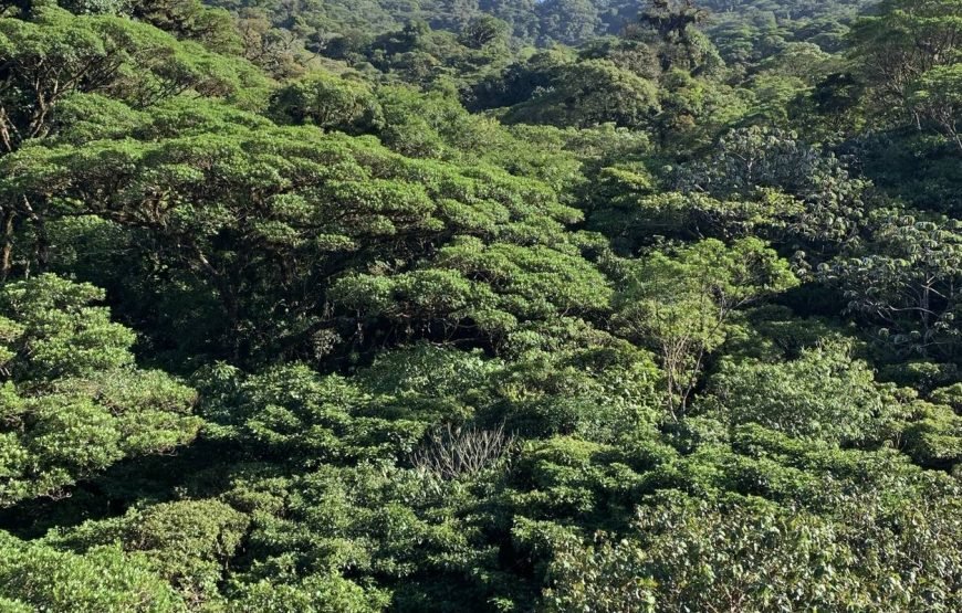 Costa Rica Quest 9 Days