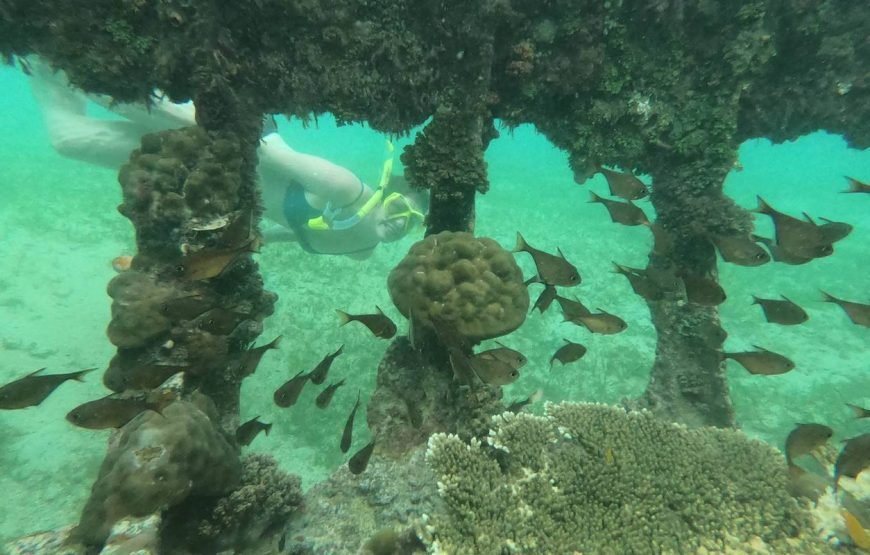 Philippines Explorer with Boracay 13 Days