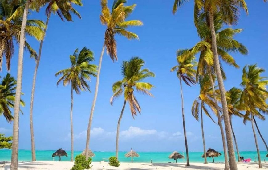 Amazing Zanzibar 8 Days