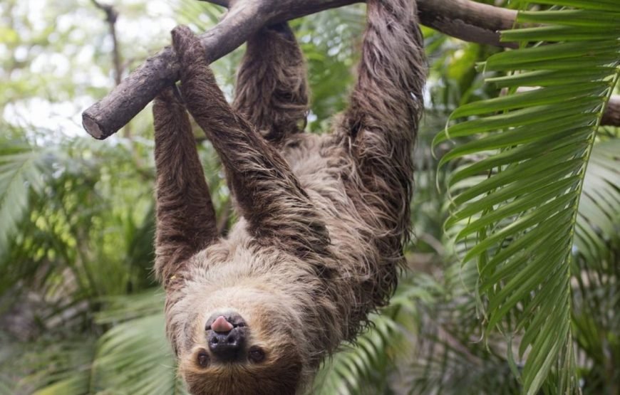 Costa Rica Adventure 10 Days
