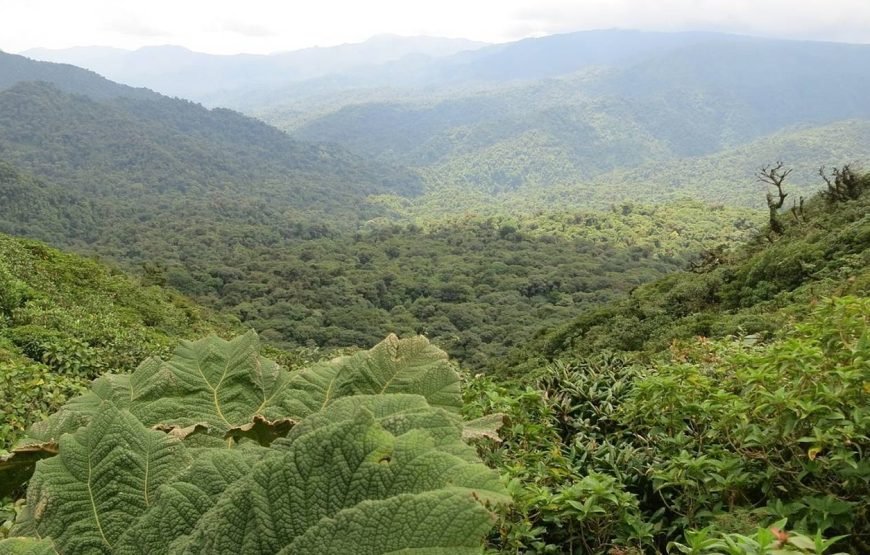 Costa Rica Adventure 10 Days