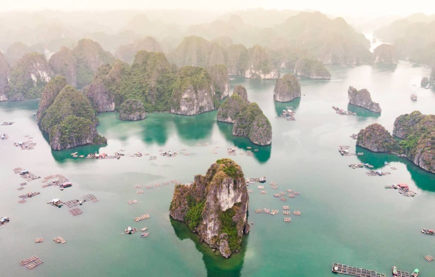 Vietnam Experience