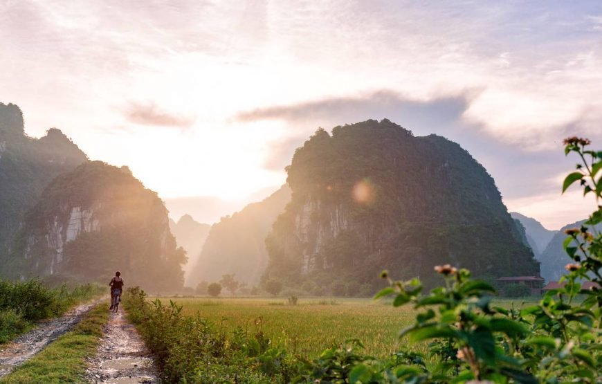 Vietnam Experience