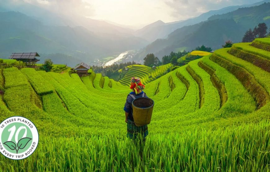 Vietnam Experience