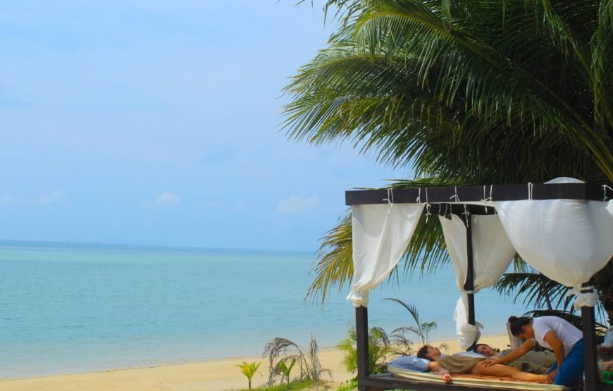 THAI EXPERIENCE
