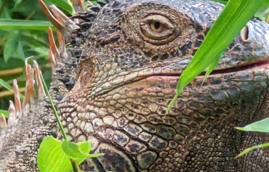 Costa Rica Adventure 10 Days