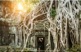 Day 20: Siem Reap & Angkor Wat